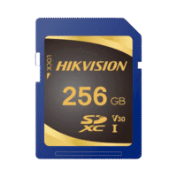 HS-SD-P10STD-256G