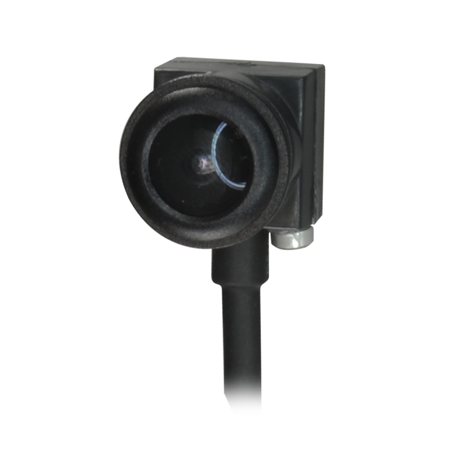 MC304D - Image 2