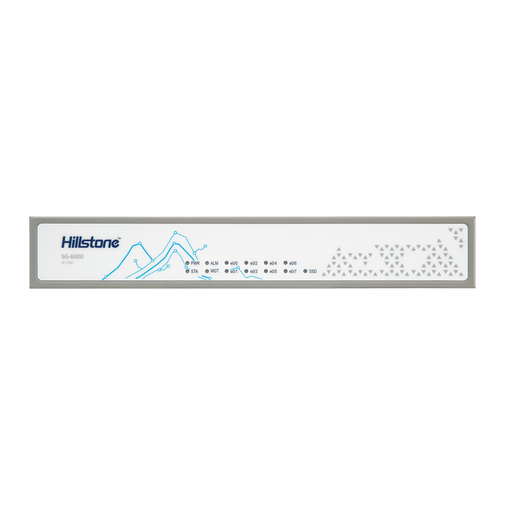 HILL-NGFW-A1000 - Image 2