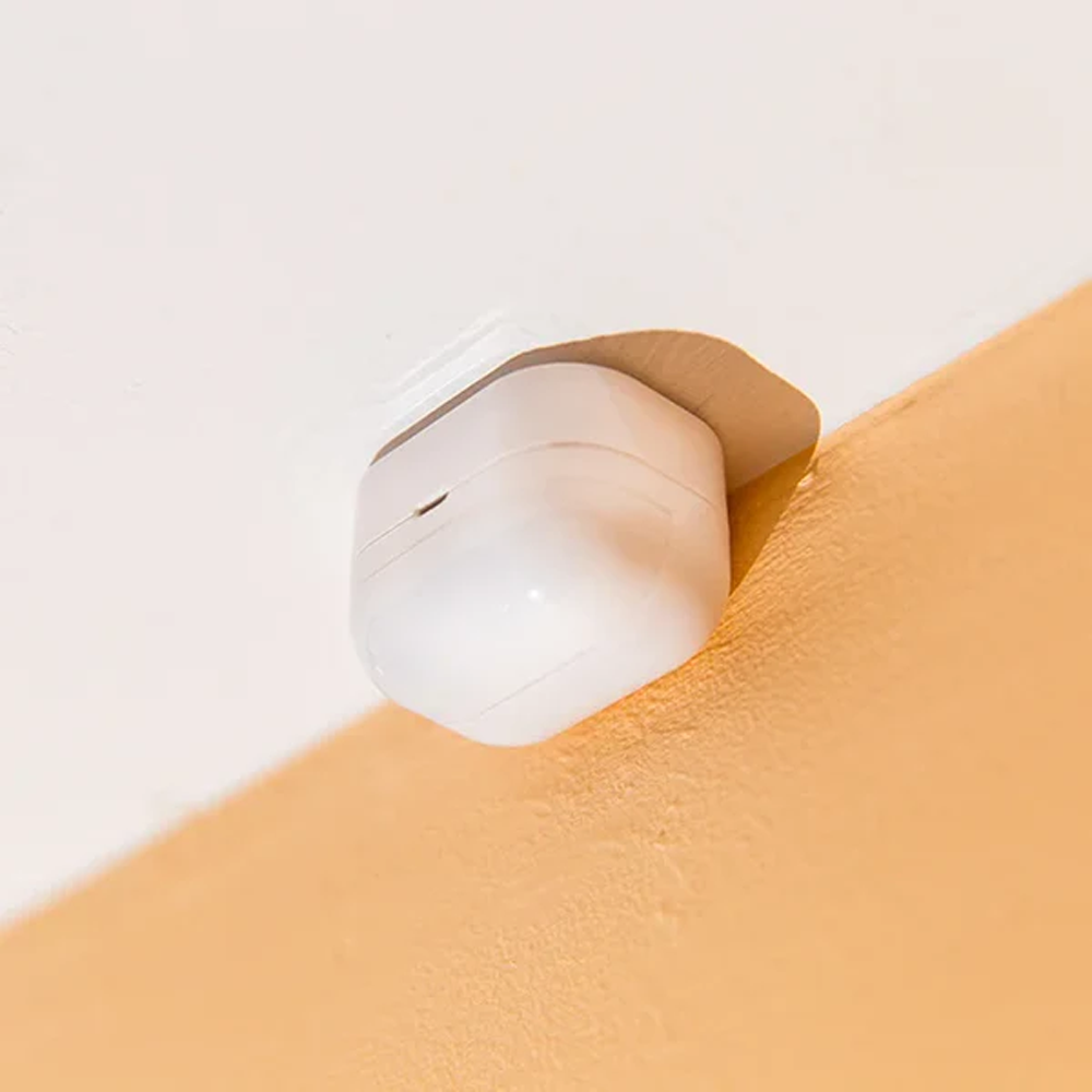 SH-BLU-MOTION - Image 3