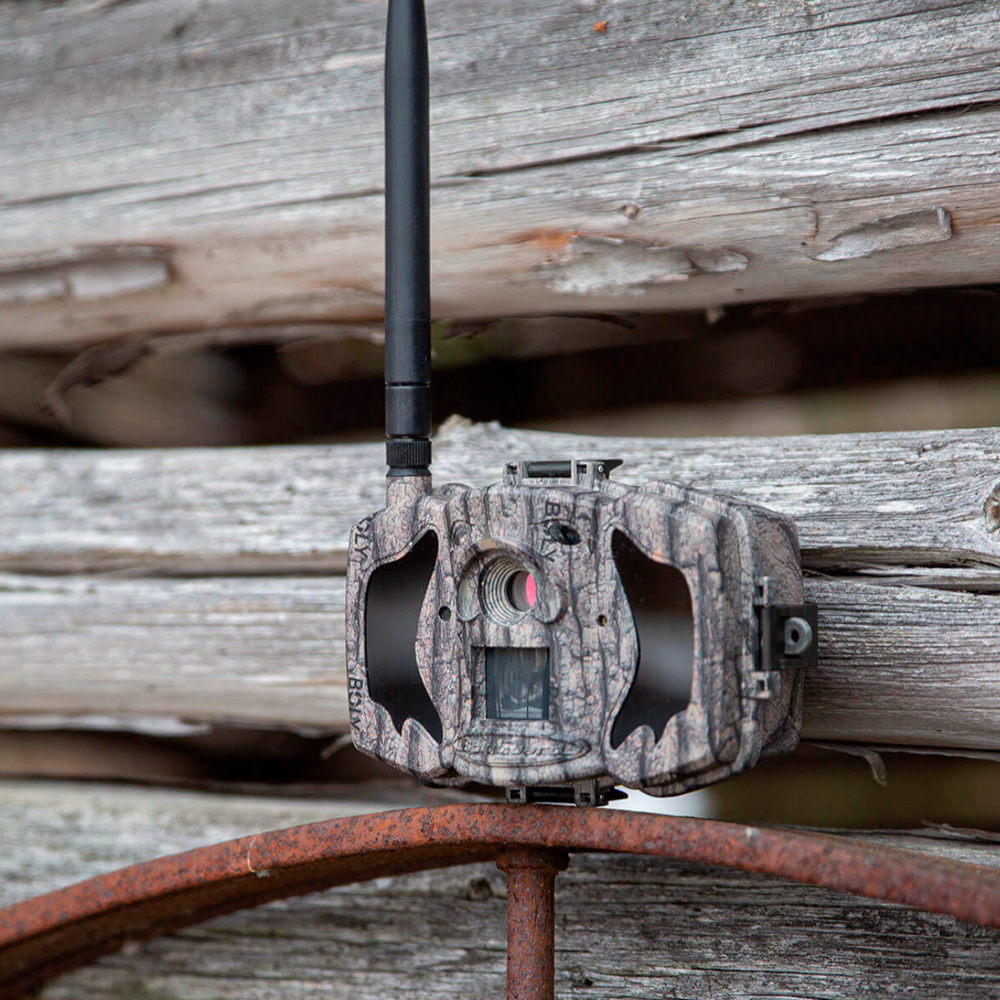 TRAILCAM-36M-4G - Image 6