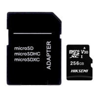 HS-TF-C1STD-256G