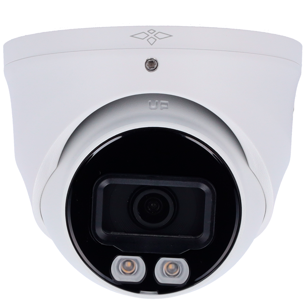 XS-T887A-2E-DL - Image 2